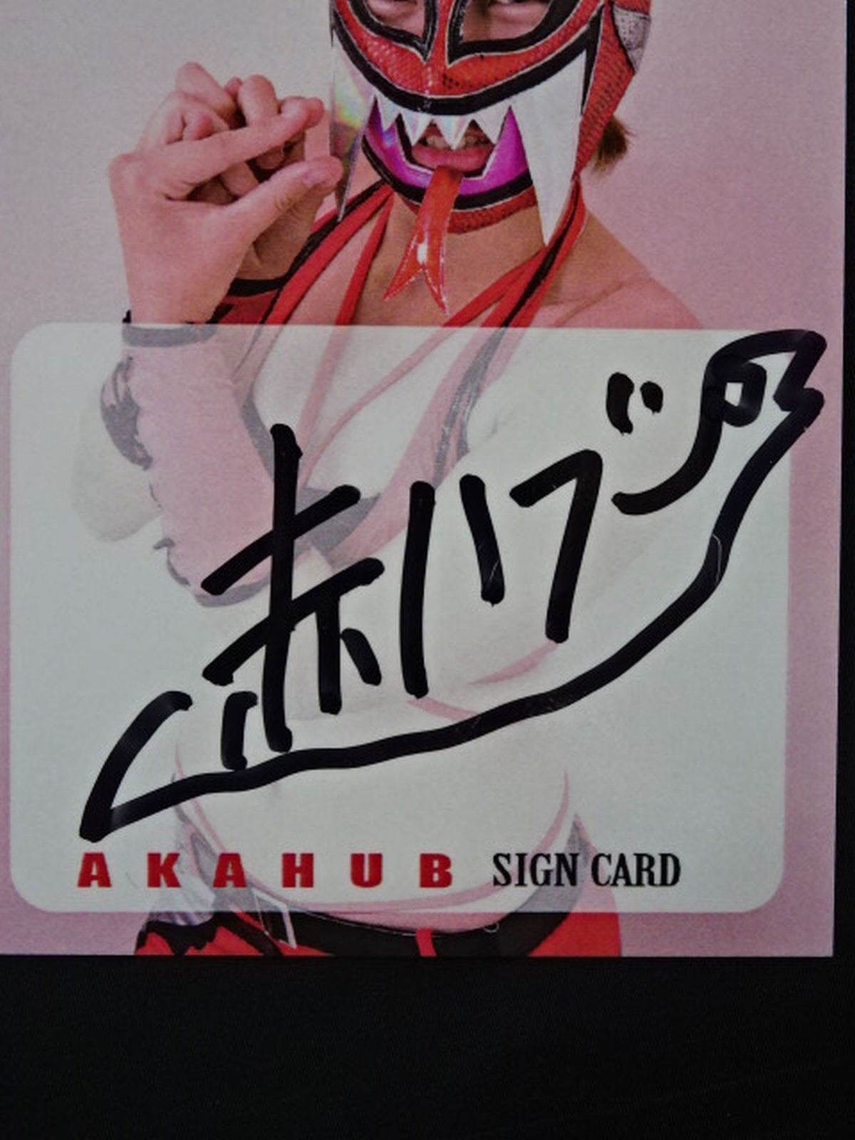 2019 STARDOM COLLECTION CARD 林下詩美(赤ハブ) 公式サインカード