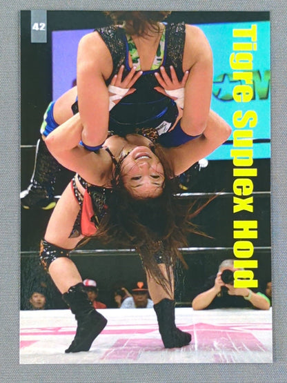 2018 IO SHIRAI MEMORIAL COLLECTION CARD Io Shirai (Iyo Sky) (42)