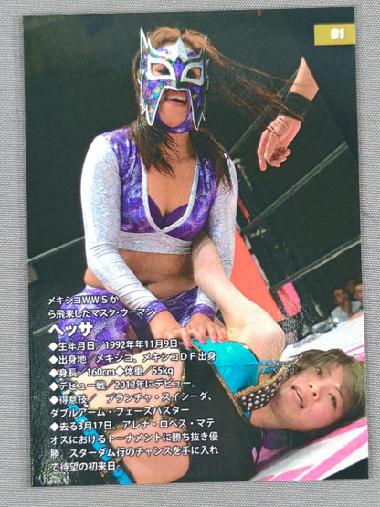2017 STARDOM COLLECTION CARD Hessa(91)