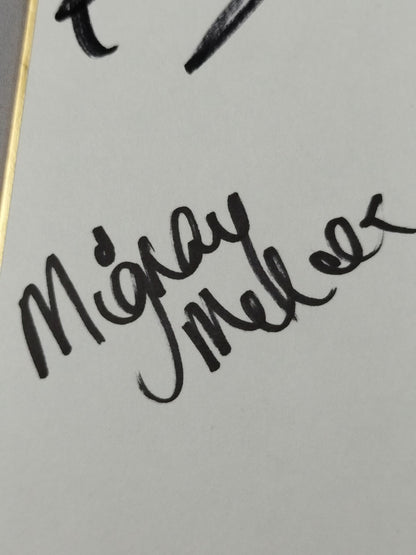 Ray＆真琴＆マイティー・メル＆朱里(REINA女子プロレスステッカー貼付)