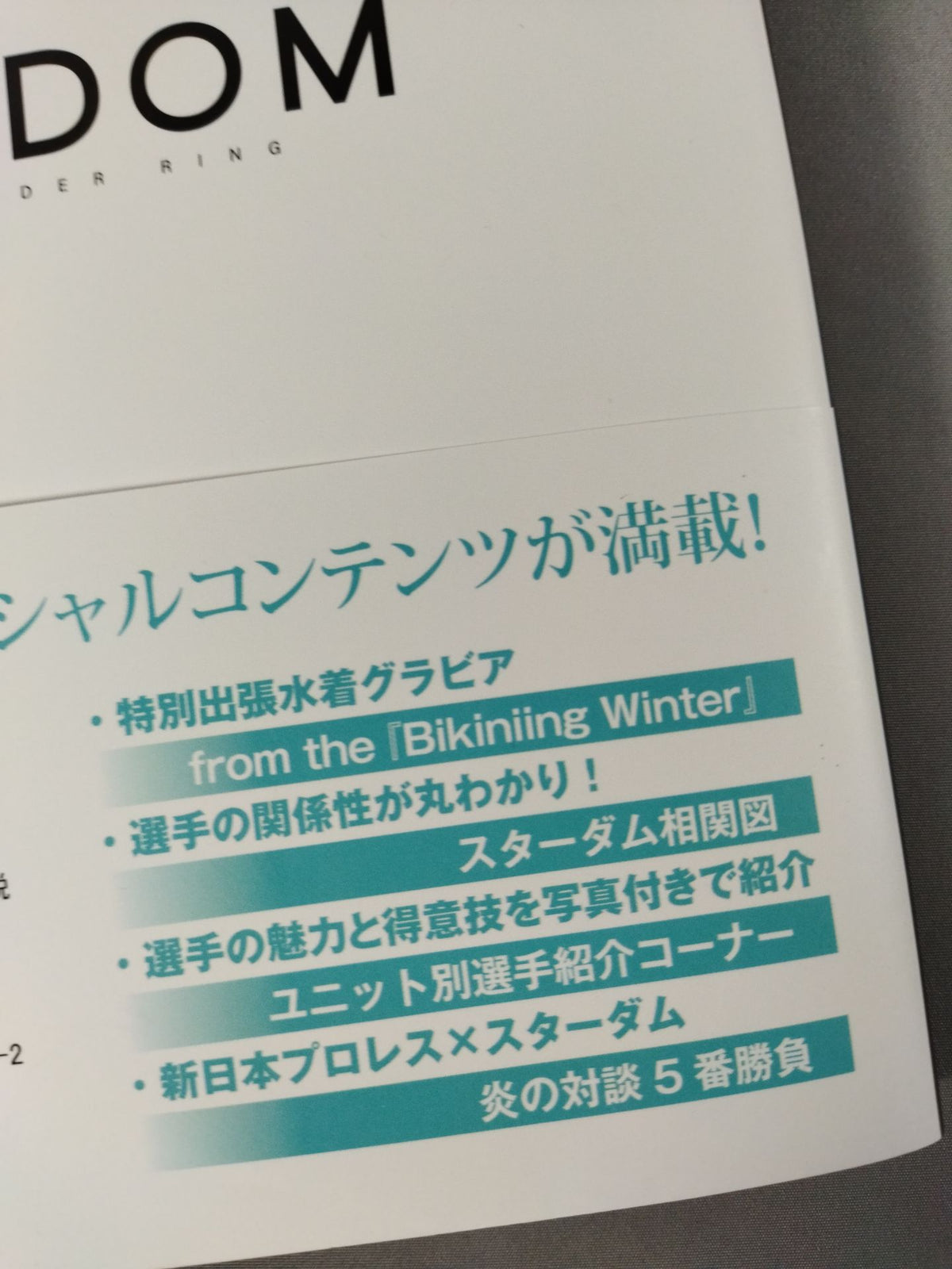スターダム ファンブック STARDOM FANBOOK