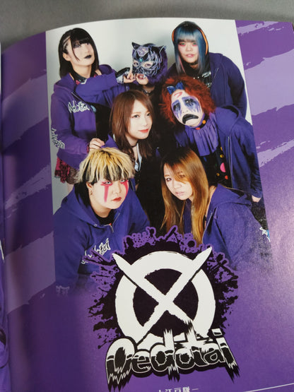 スターダム ファンブック STARDOM FANBOOK