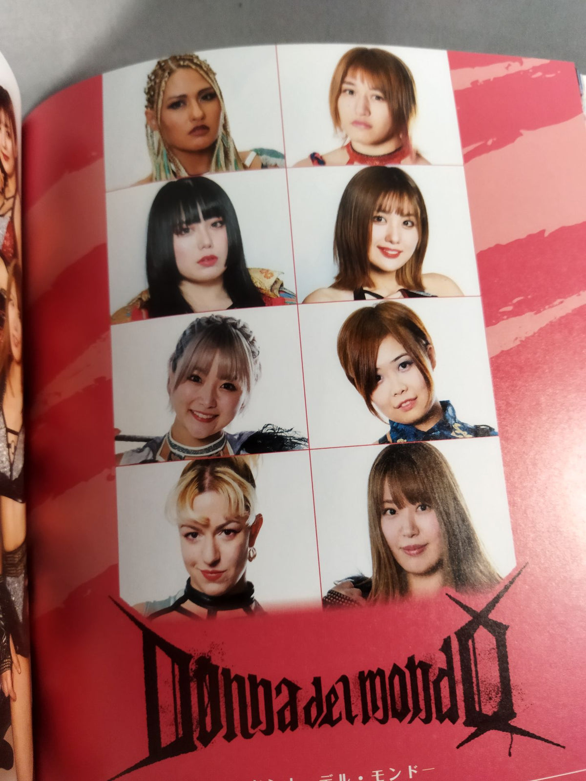スターダム ファンブック STARDOM FANBOOK