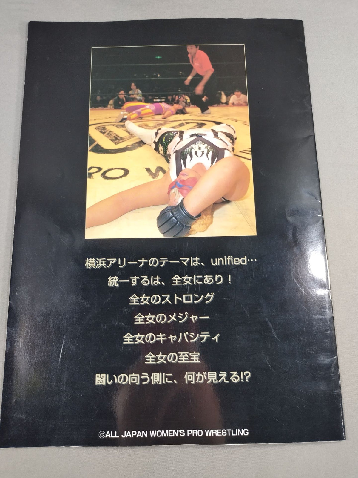 WRESTLING QUEENDOM 横浜美神王国 / unified