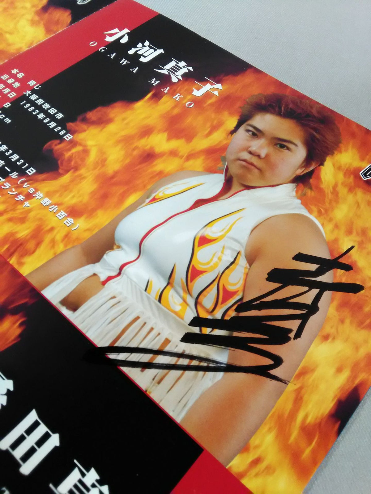 [3 fighters hand signed autograph 】LLPW / 2003 OFFICIAL GUIDE BOOK