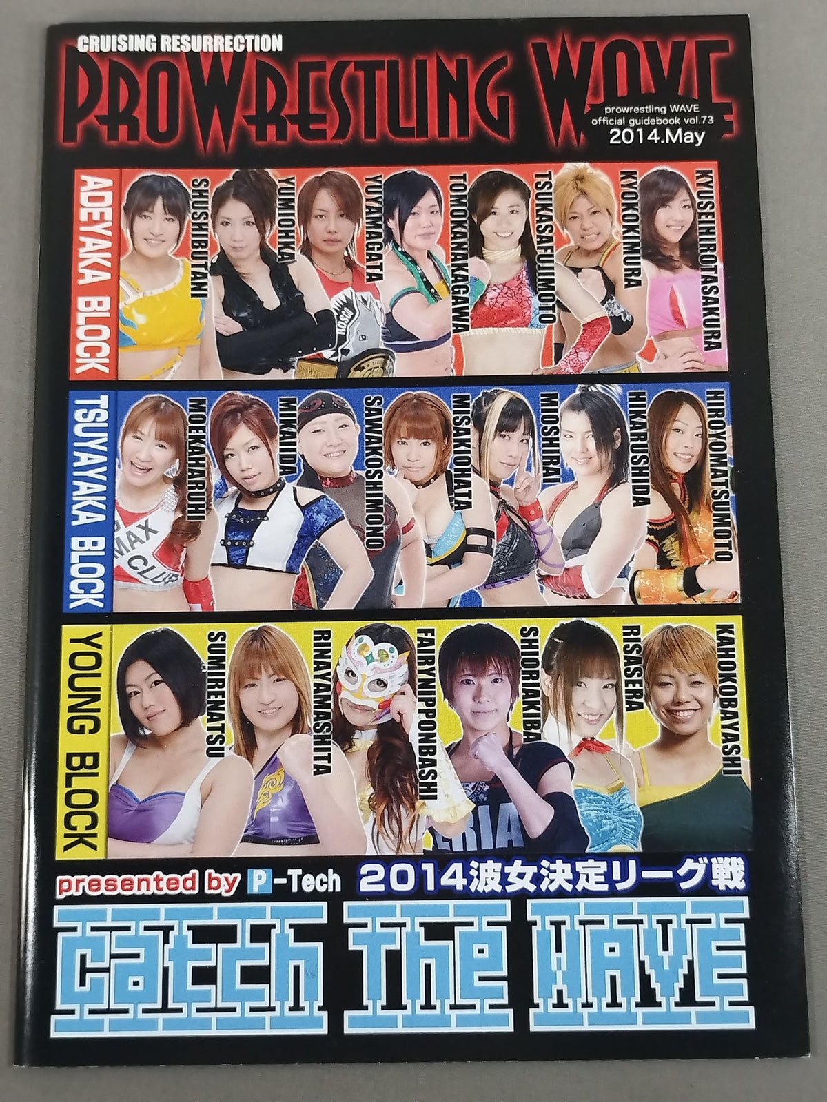 Pro-wrestling  WAVE Official Brochure vol.73