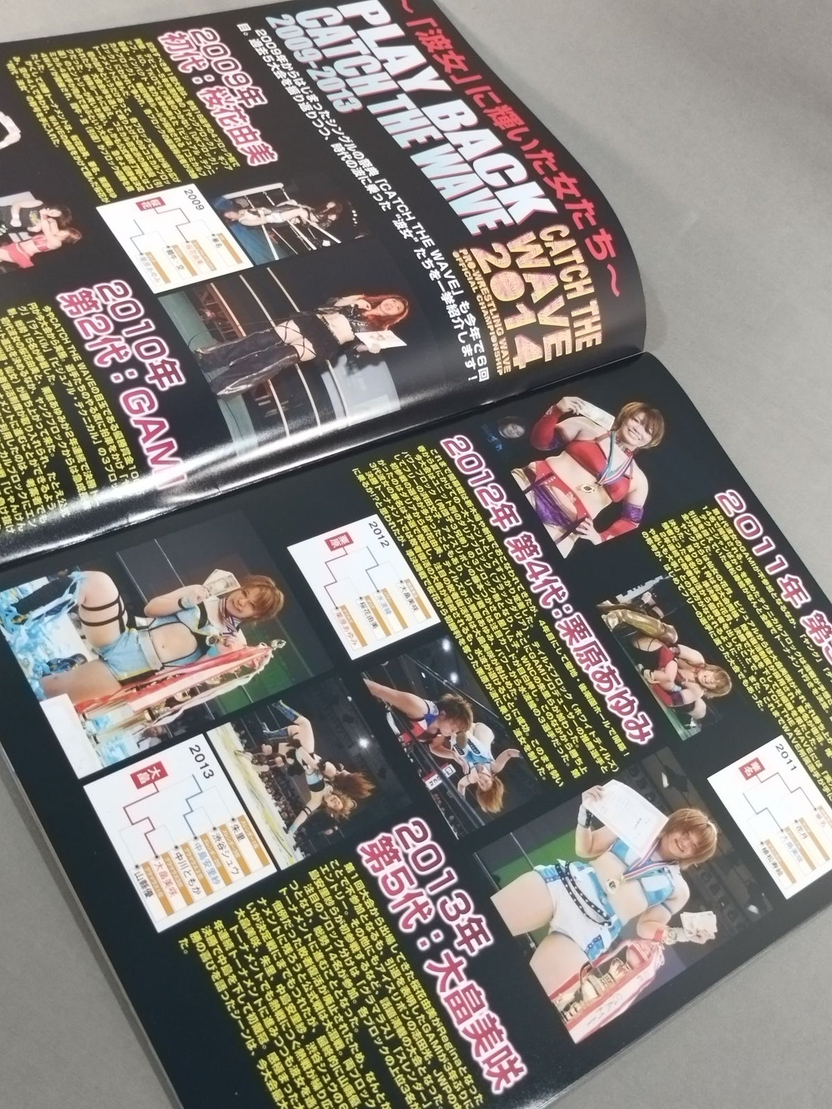 Pro-wrestling  WAVE Official Brochure vol.73