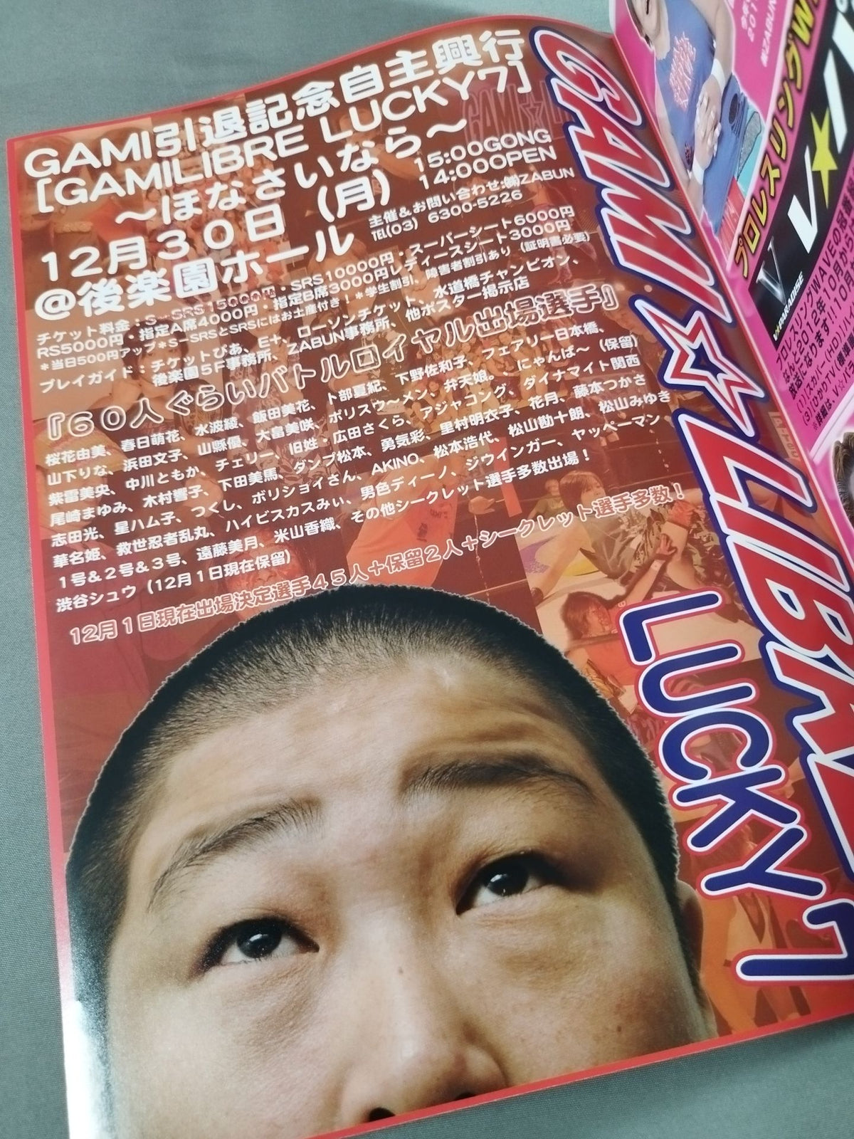 Pro-wrestling  WAVE Official Pamphlet vol.69