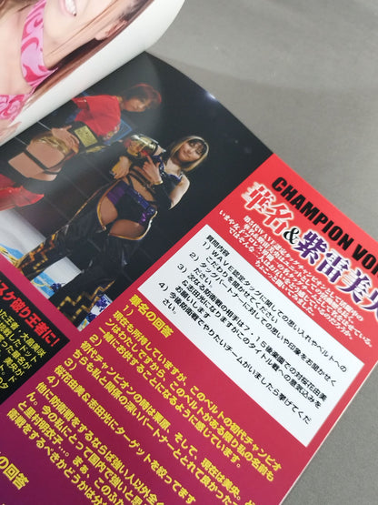 Pro-wrestling  WAVE Official Brochure vol.65