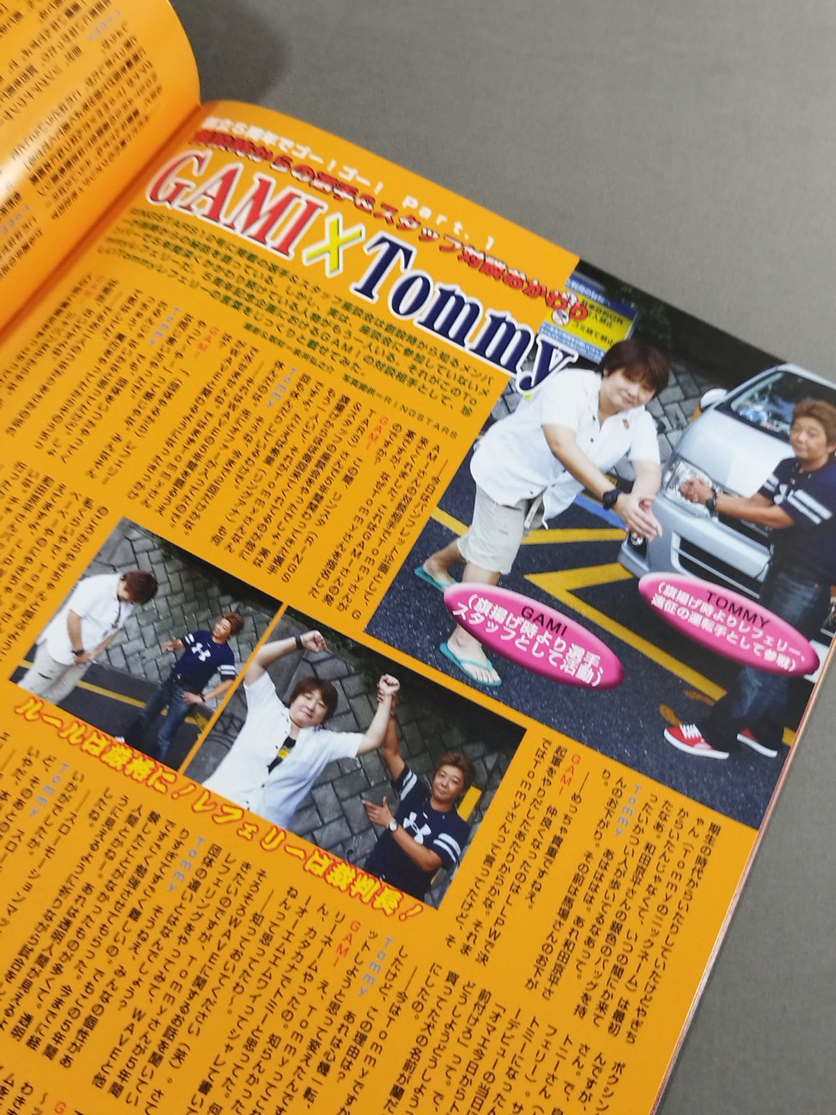 Pro-wrestling  WAVE Official Brochure vol.57