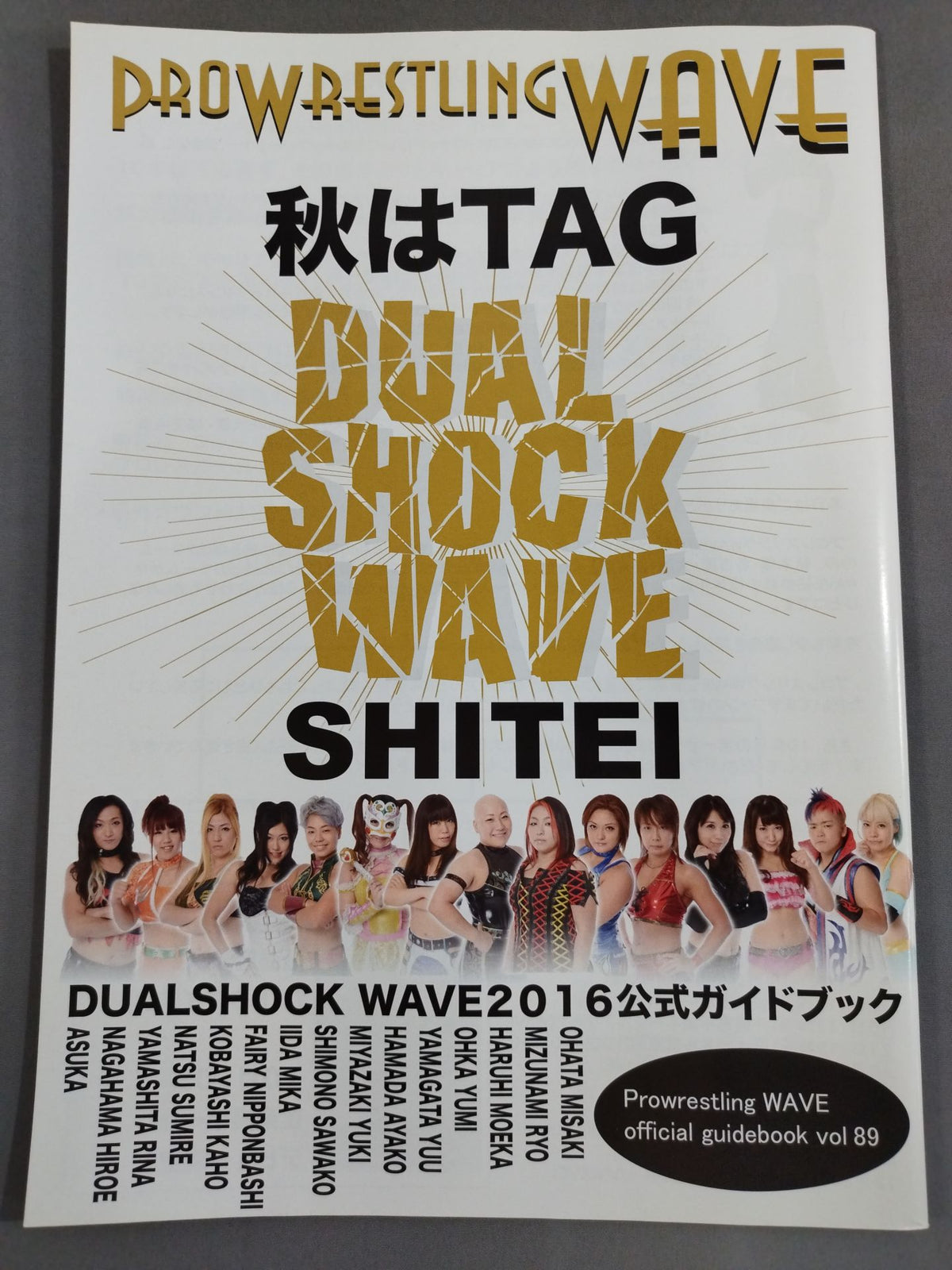 Pro-wrestling  WAVE Official Brochure vol.89