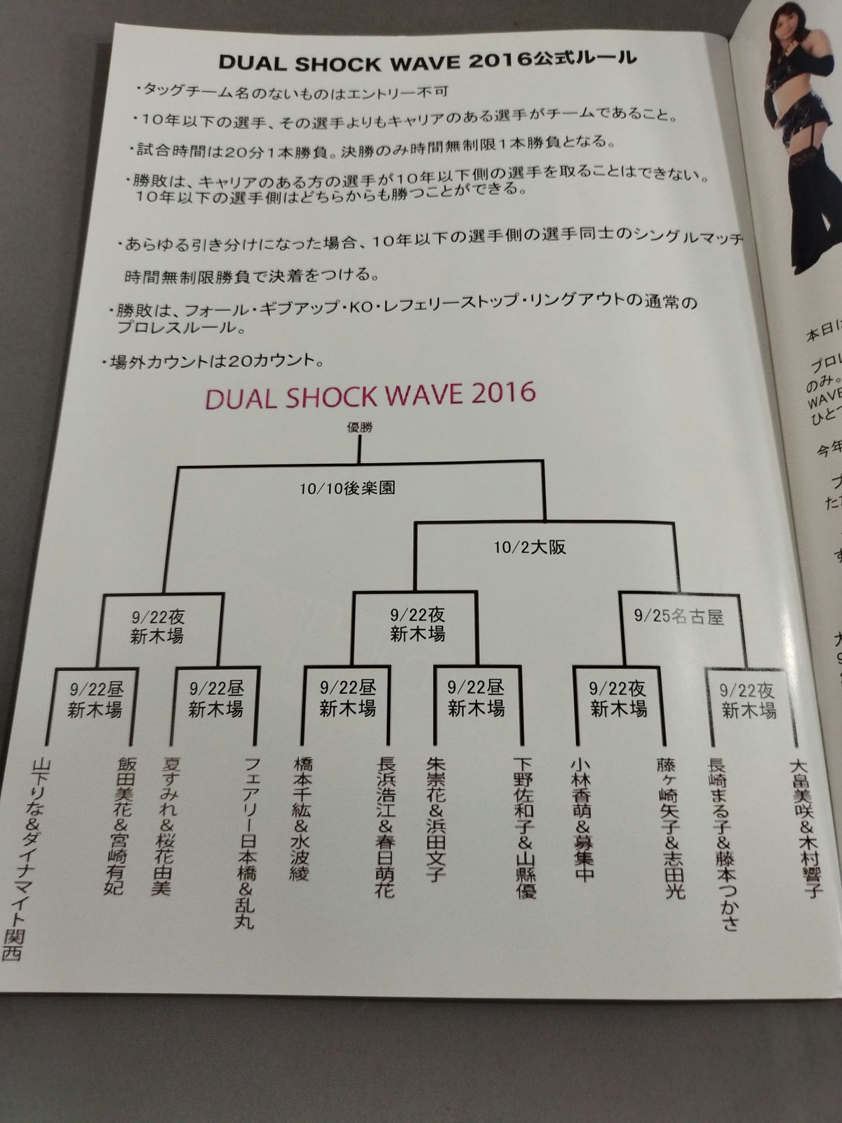 Pro-wrestling  WAVE Official Brochure vol.89