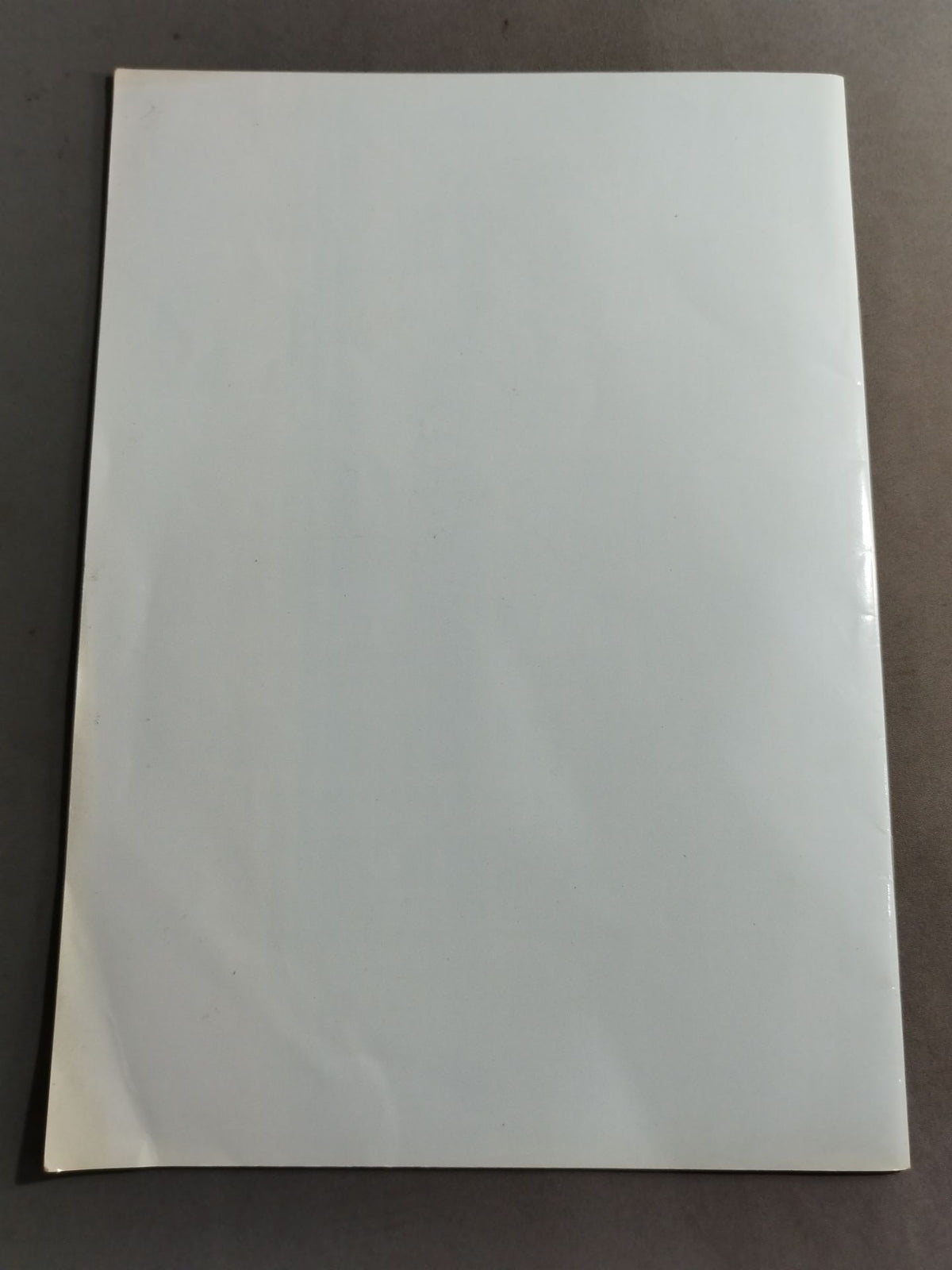 Ice Ribbon / Brochure 2008