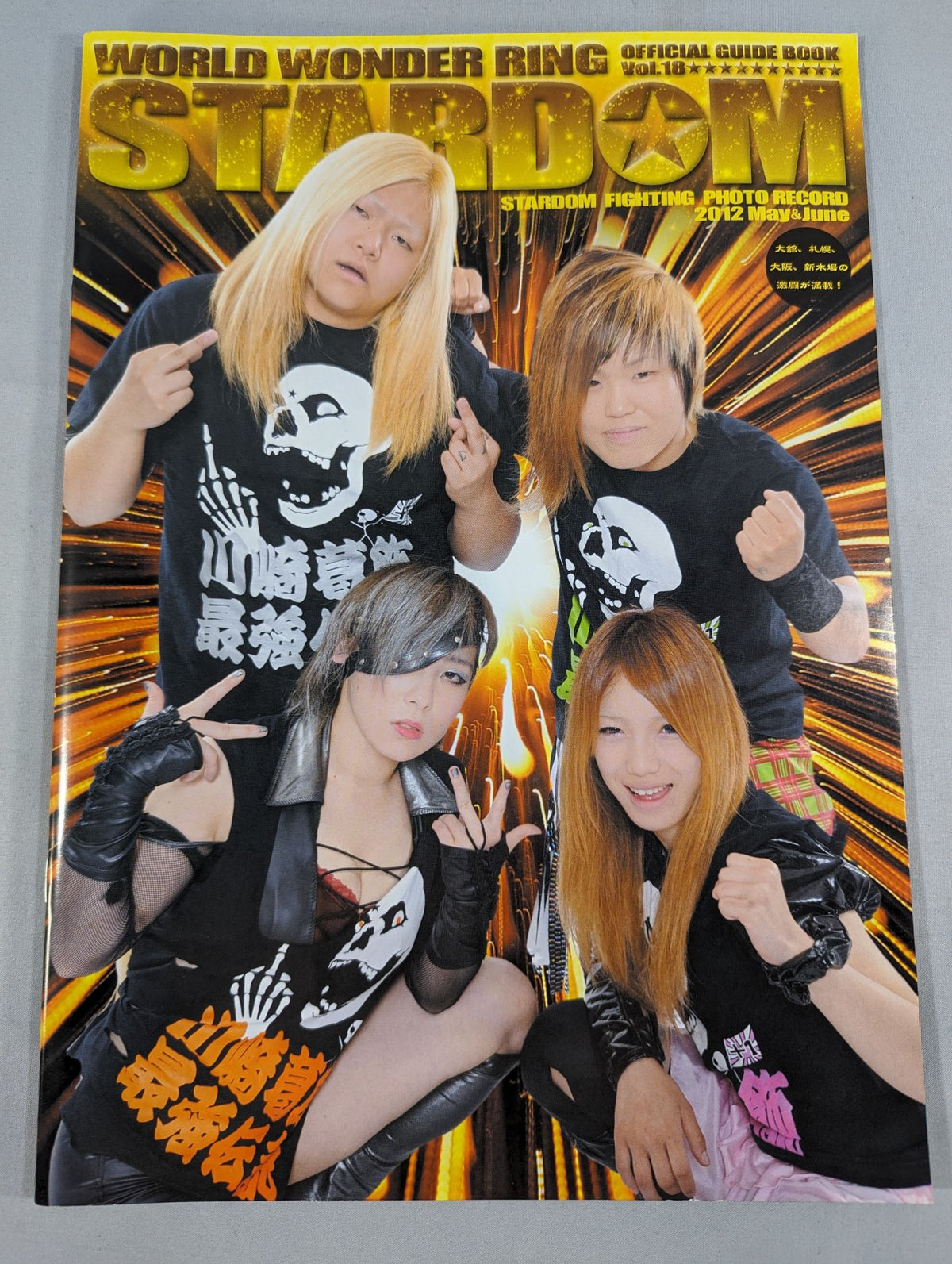 STARDOM OFFICIAL GUIDE BOOK Vol.18