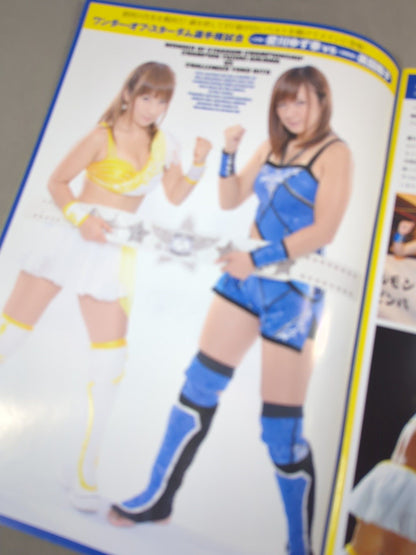 STARDOM OFFICIAL GUIDE BOOK Vol.19