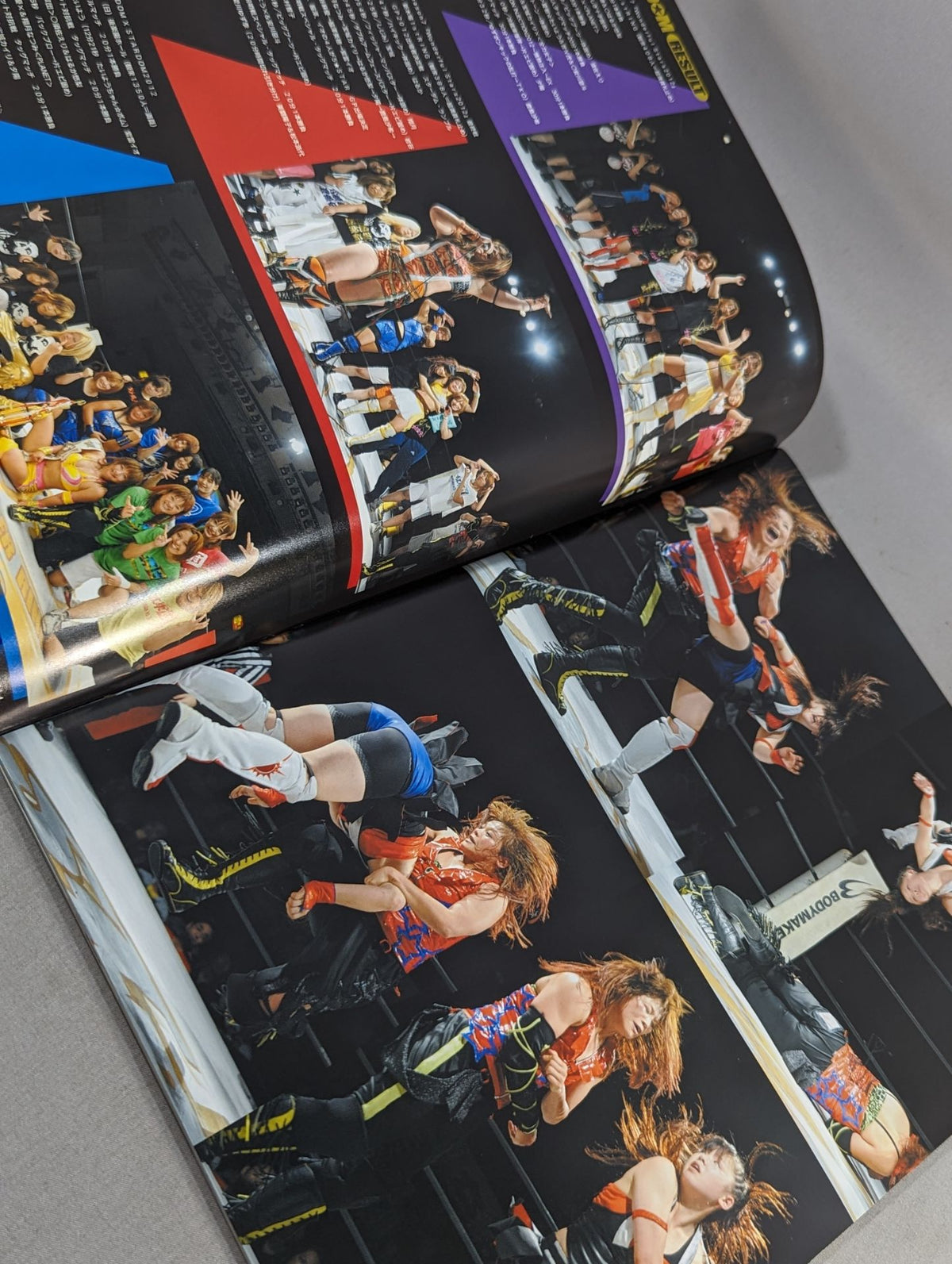 STARDOM OFFICIAL GUIDE BOOK Vol.21