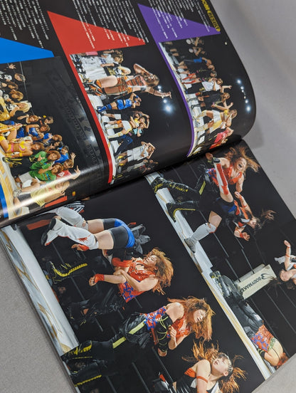 STARDOM OFFICIAL GUIDE BOOK Vol.21