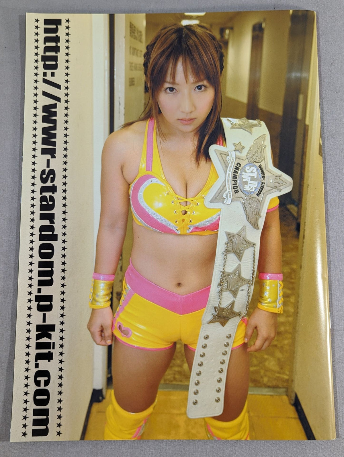STARDOM OFFICIAL GUIDE BOOK Vol.21