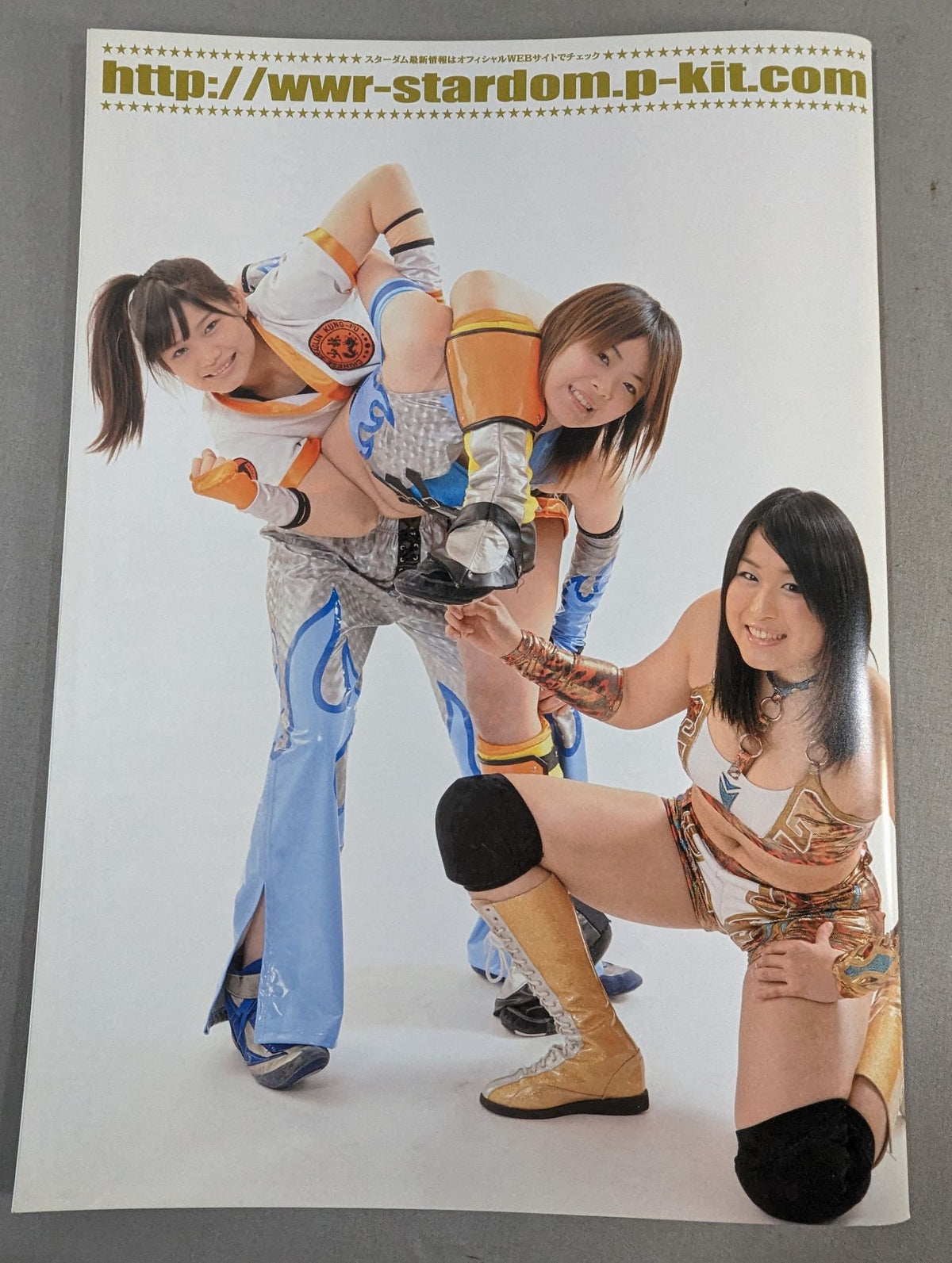 STARDOM OFFICIAL GUIDE BOOK Vol.27