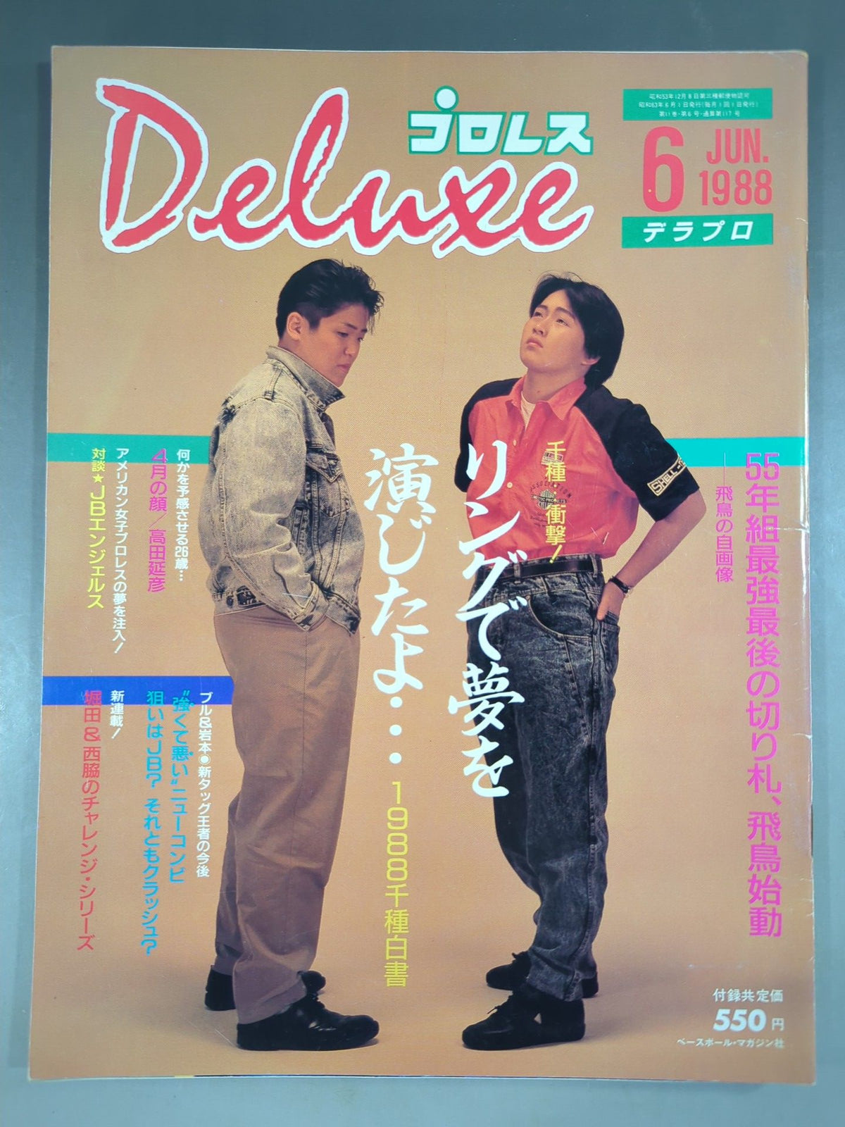 デラックスプロレス 1988年6月号