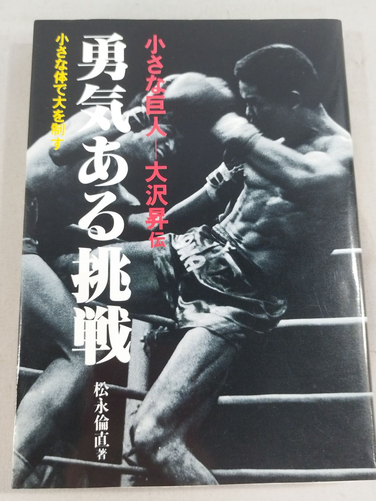 勇気ある挑戦 小さな巨人 大沢昇伝