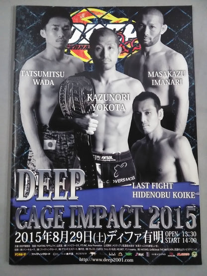 DEEP CAGE IMPACT 2015