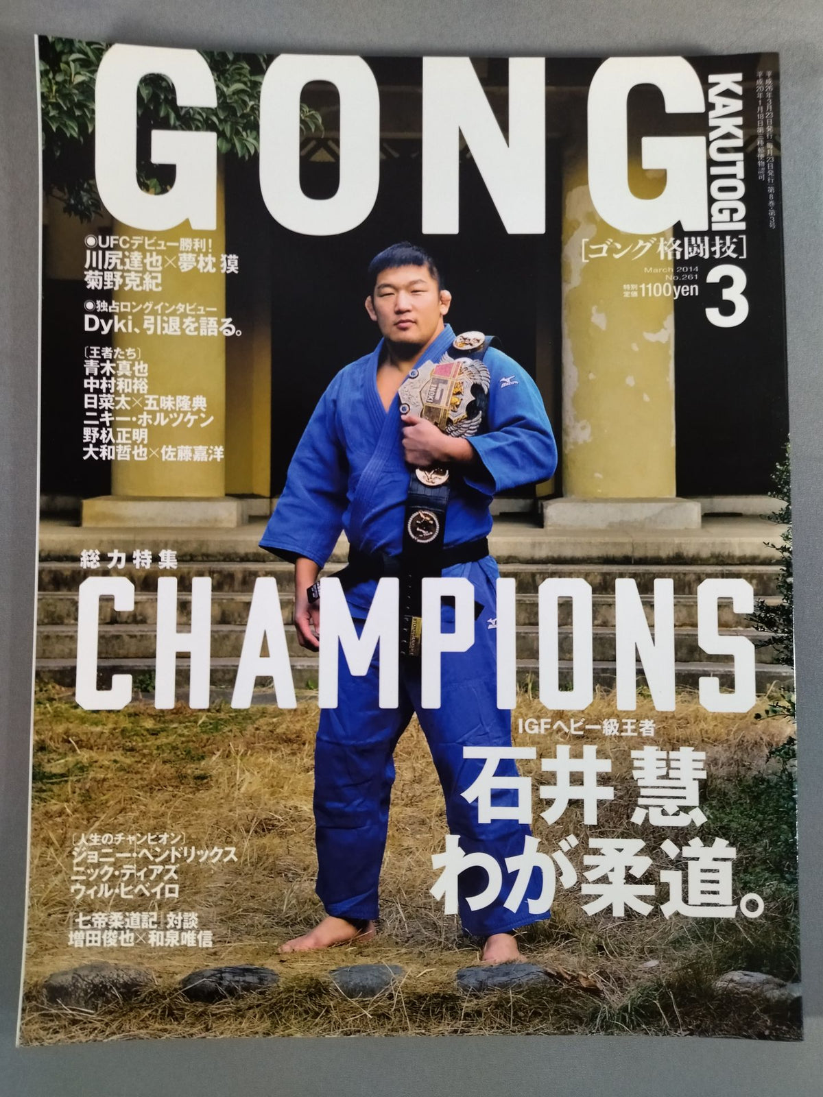 Gong Martial Arts No.261