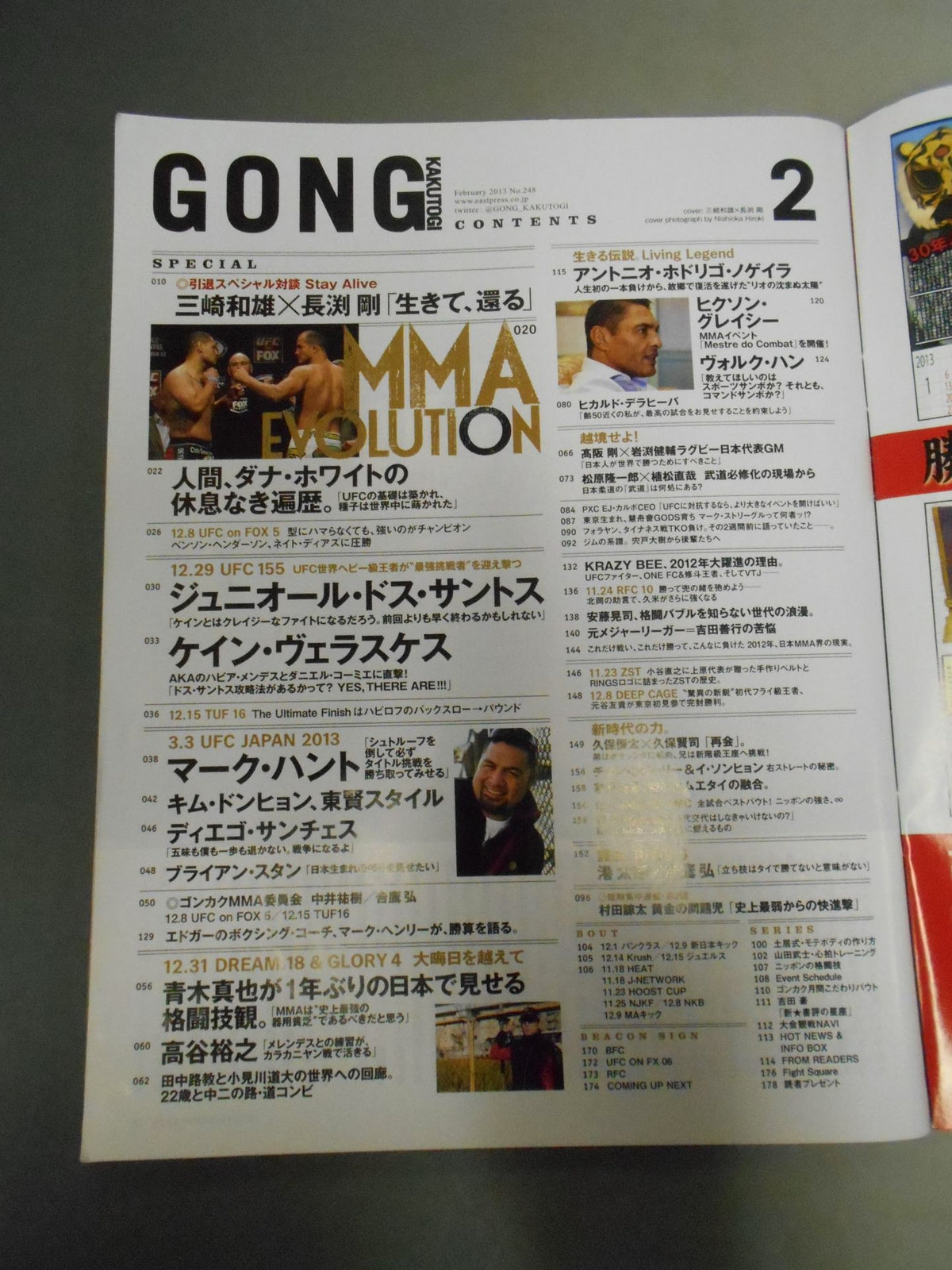 Gong Martial Arts No.248