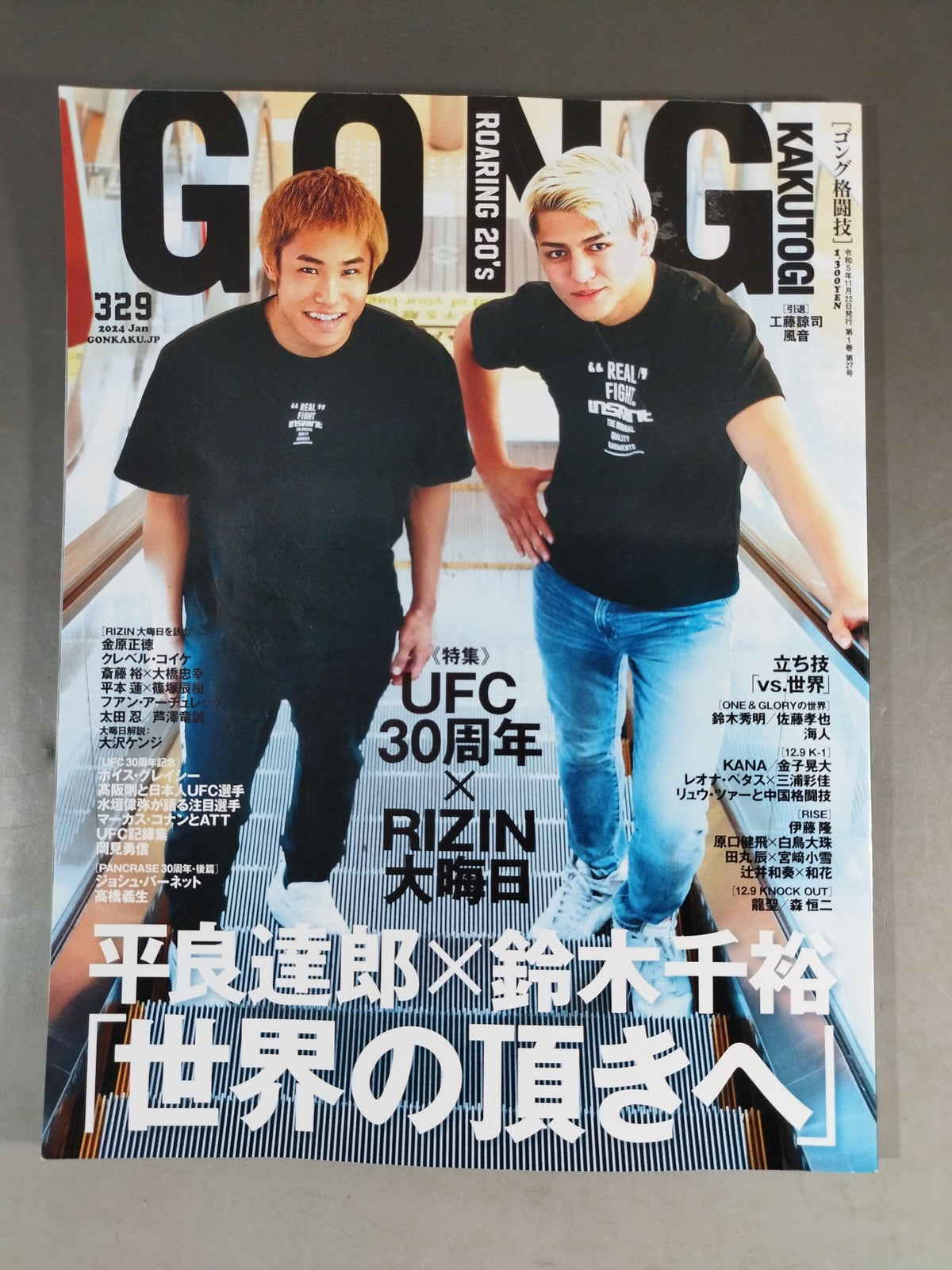 Gong Martial Arts No.329