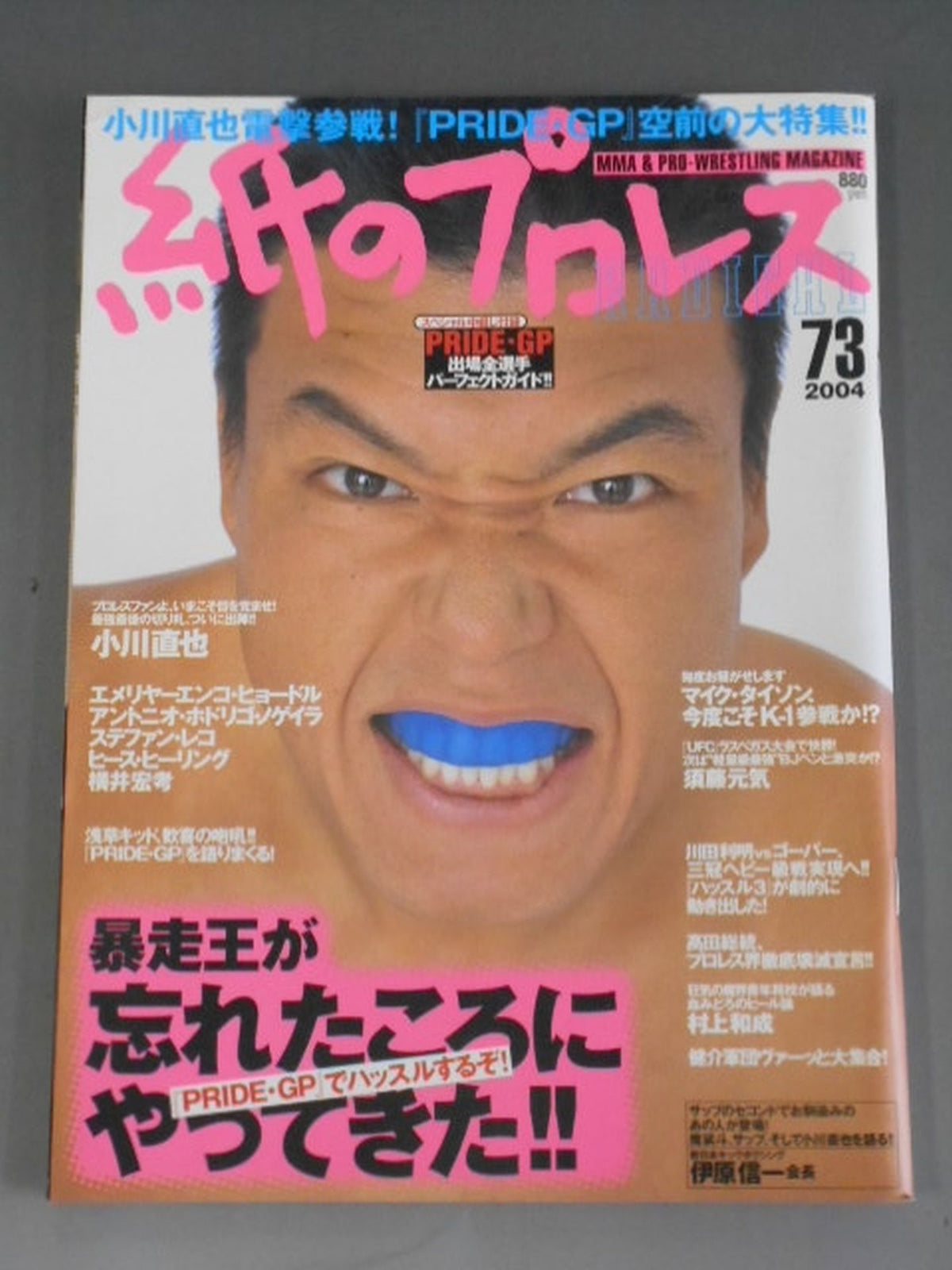 紙のプロレスRADICAL73