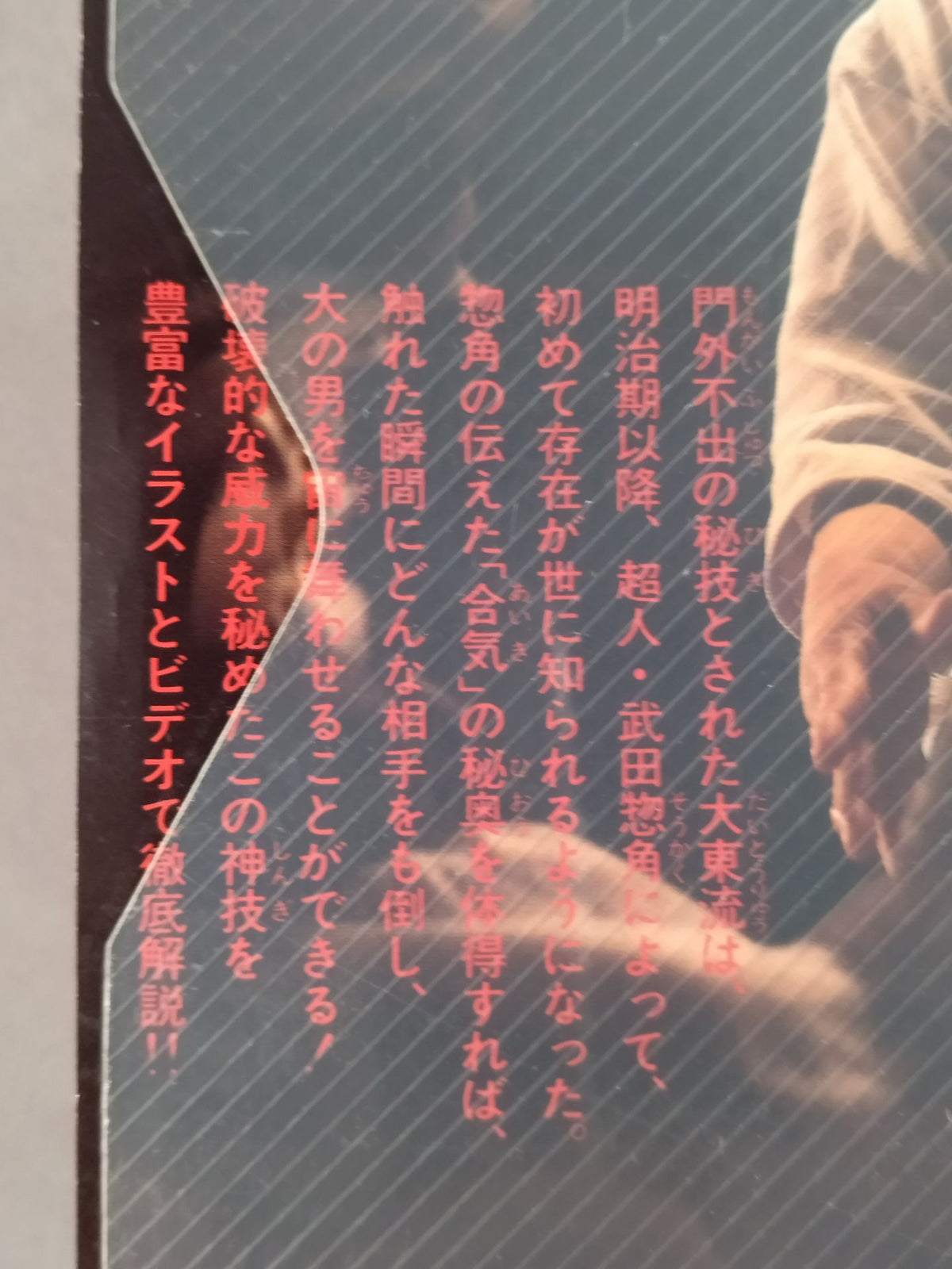 幻の神技 大東流合気柔術