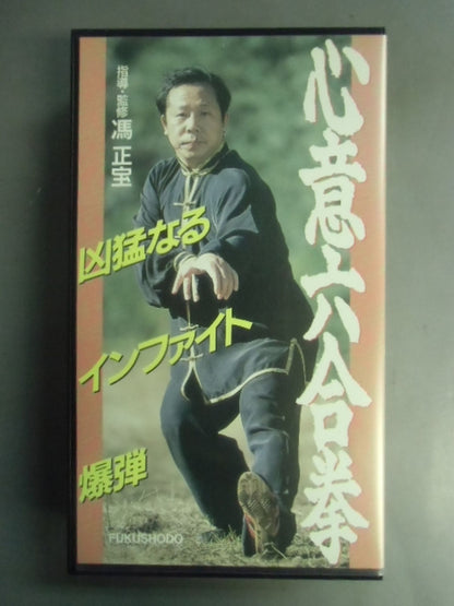 心意六合拳 凶猛なるインファイト爆弾