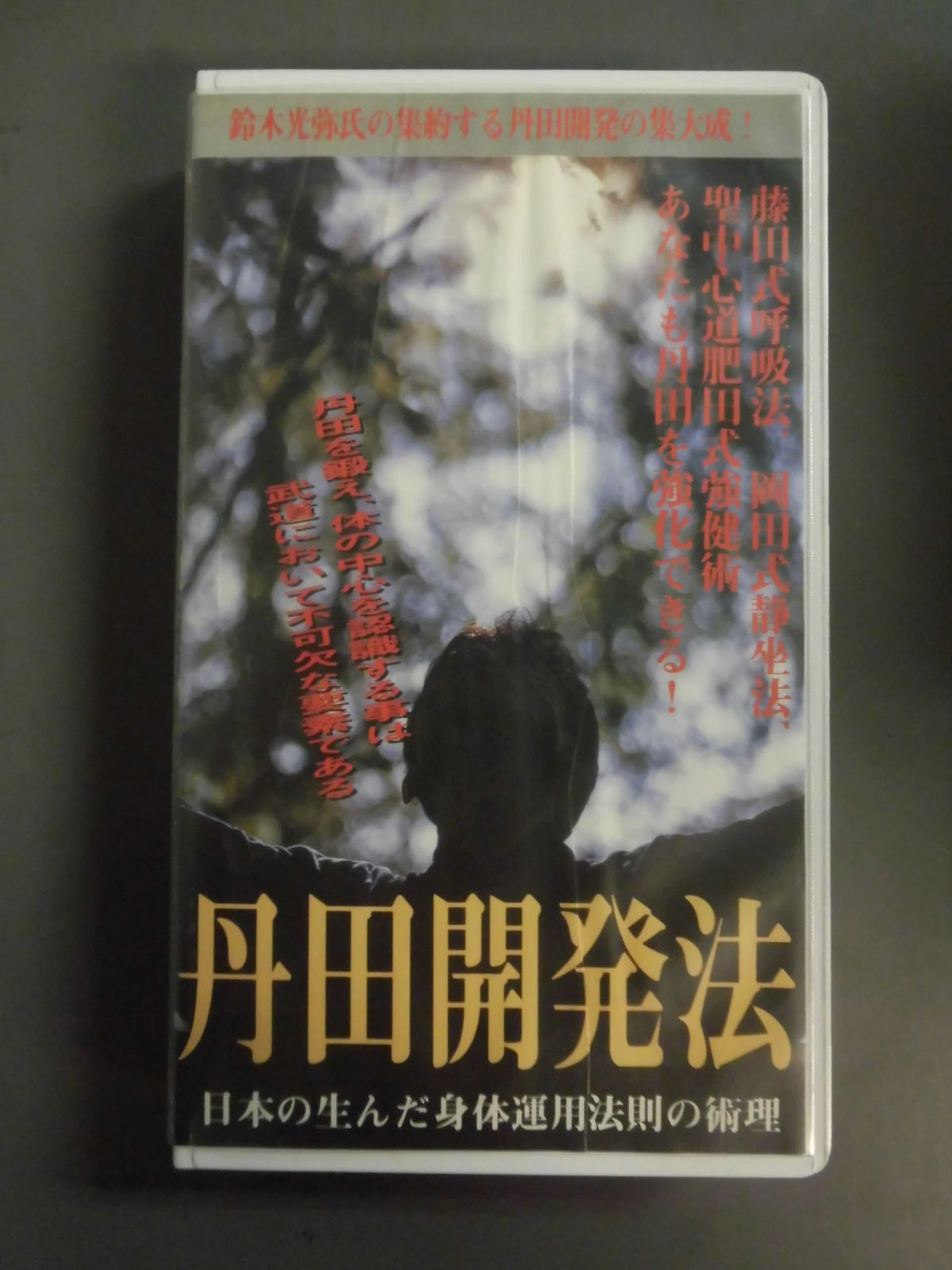丹田開発法 【武術的身体を完成し、身体の健康を推進する】