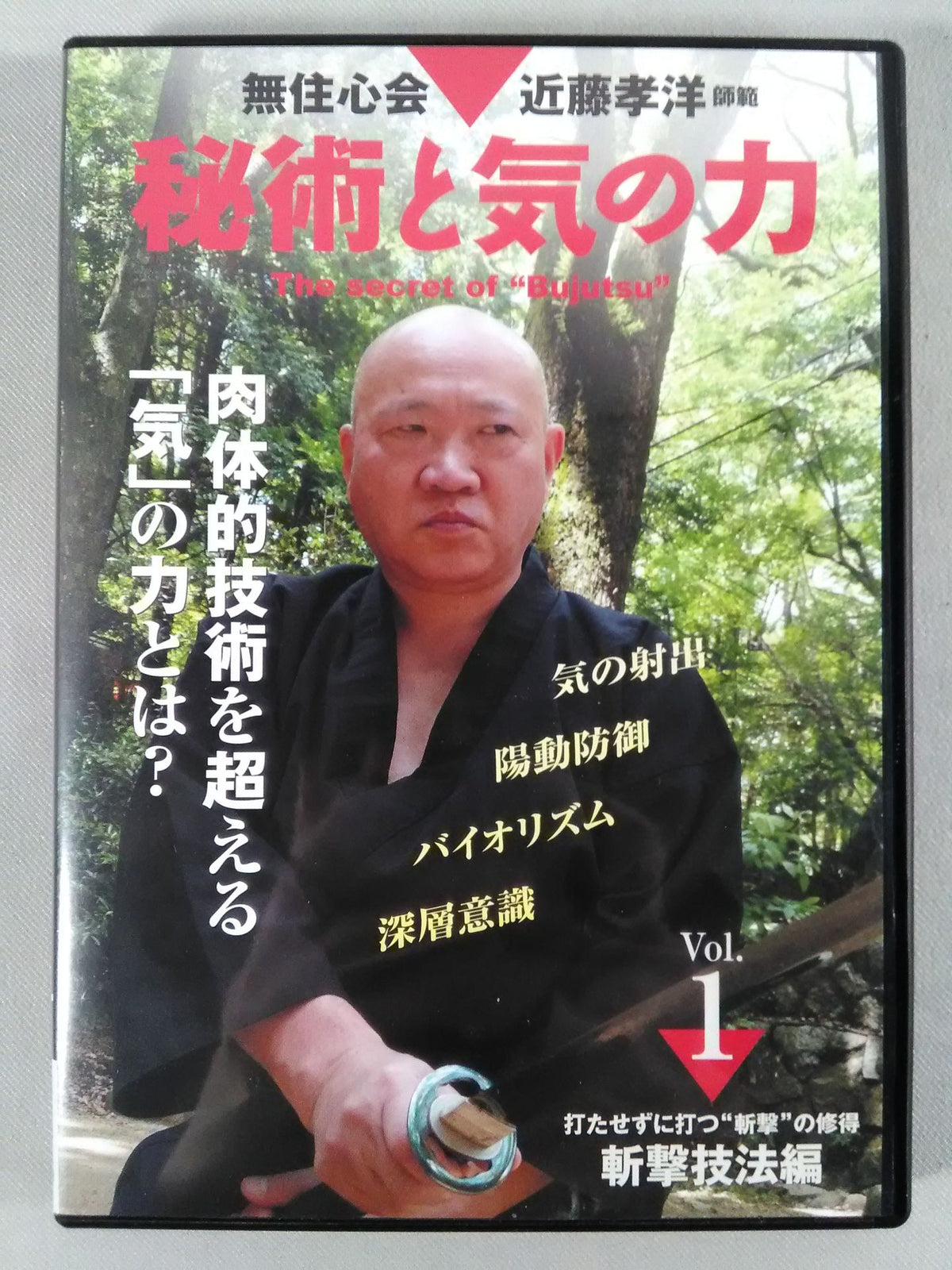 秘術と気の力 Vol.1 斬撃技法編