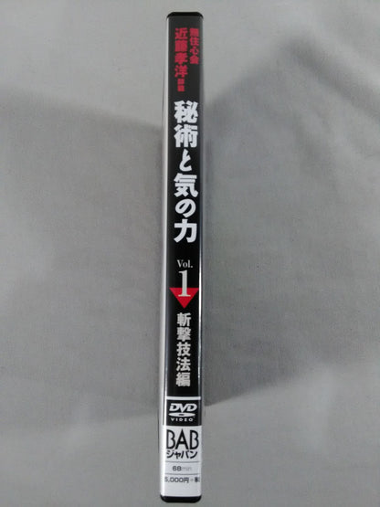 秘術と気の力 Vol.1 斬撃技法編