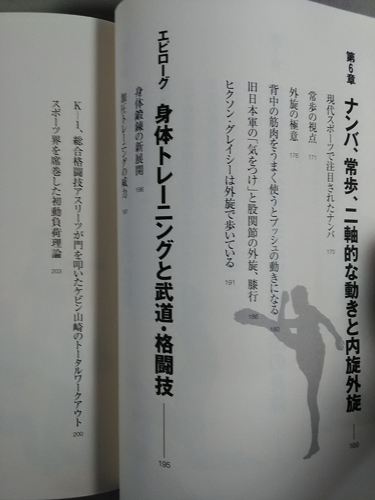 How to make a martial body: Deciphering the Body Revolution