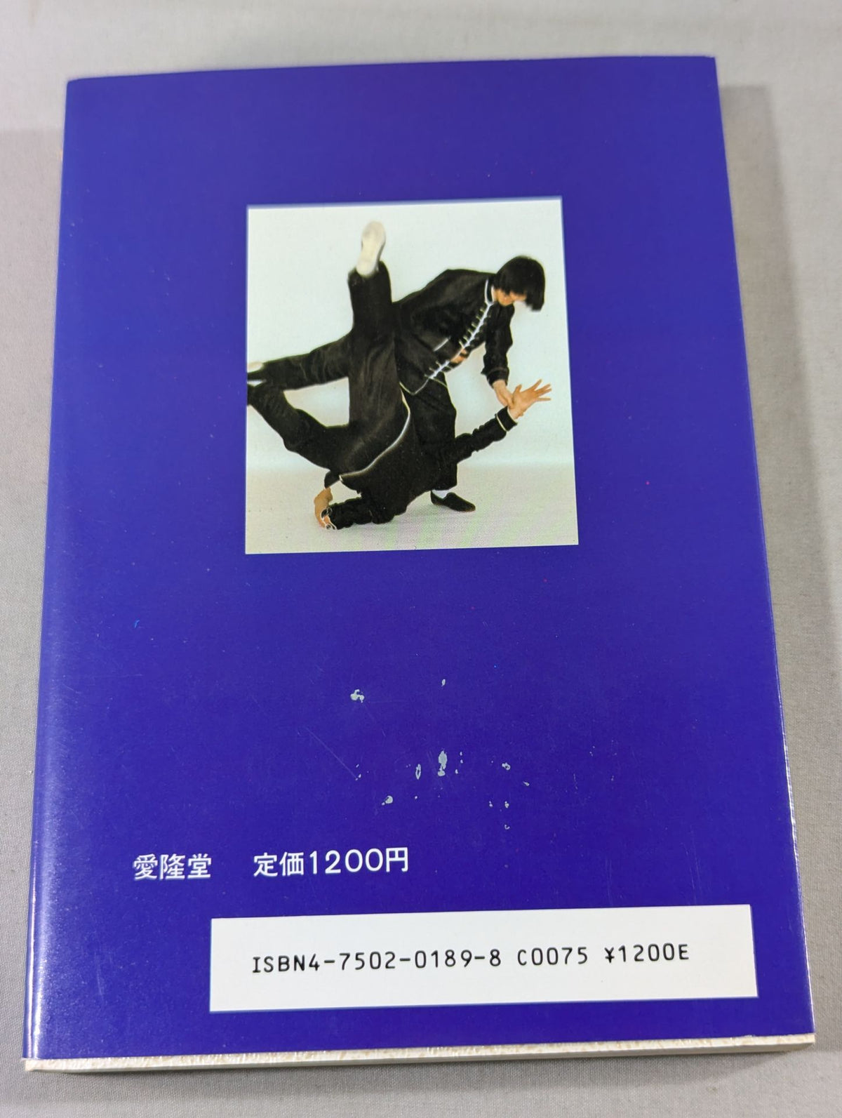 Kempo Essence Learn High-Level Techniques