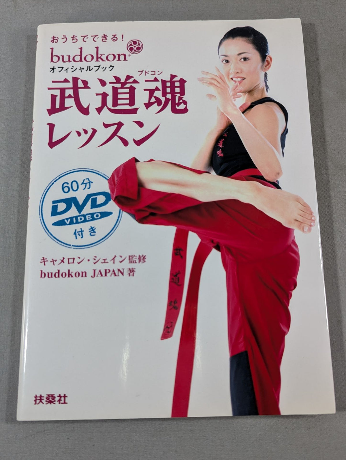 You can do it at home! Martial Arts Soul Lesson Official Book