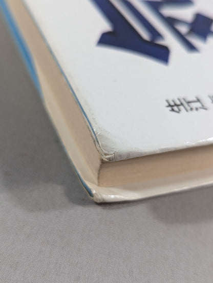 気の力 いま注目の西野流呼吸法の世界