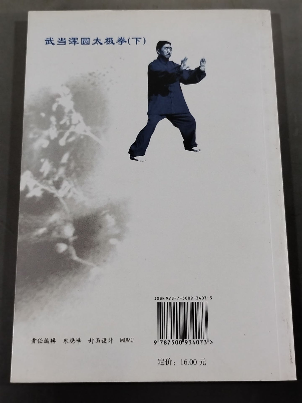 武当渾圓太極拳(下)