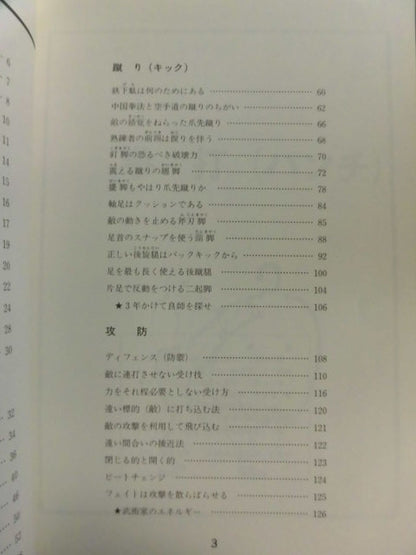中国拳法 打撃法