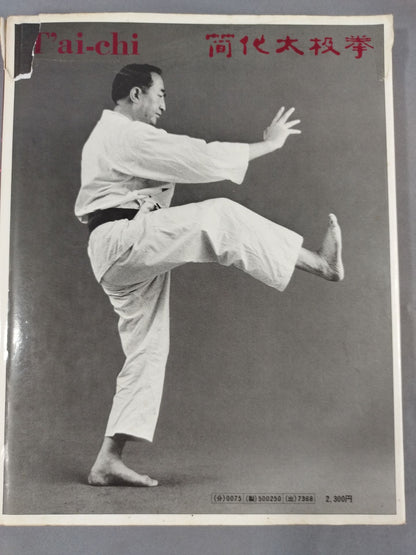 Photo version Tai Chi