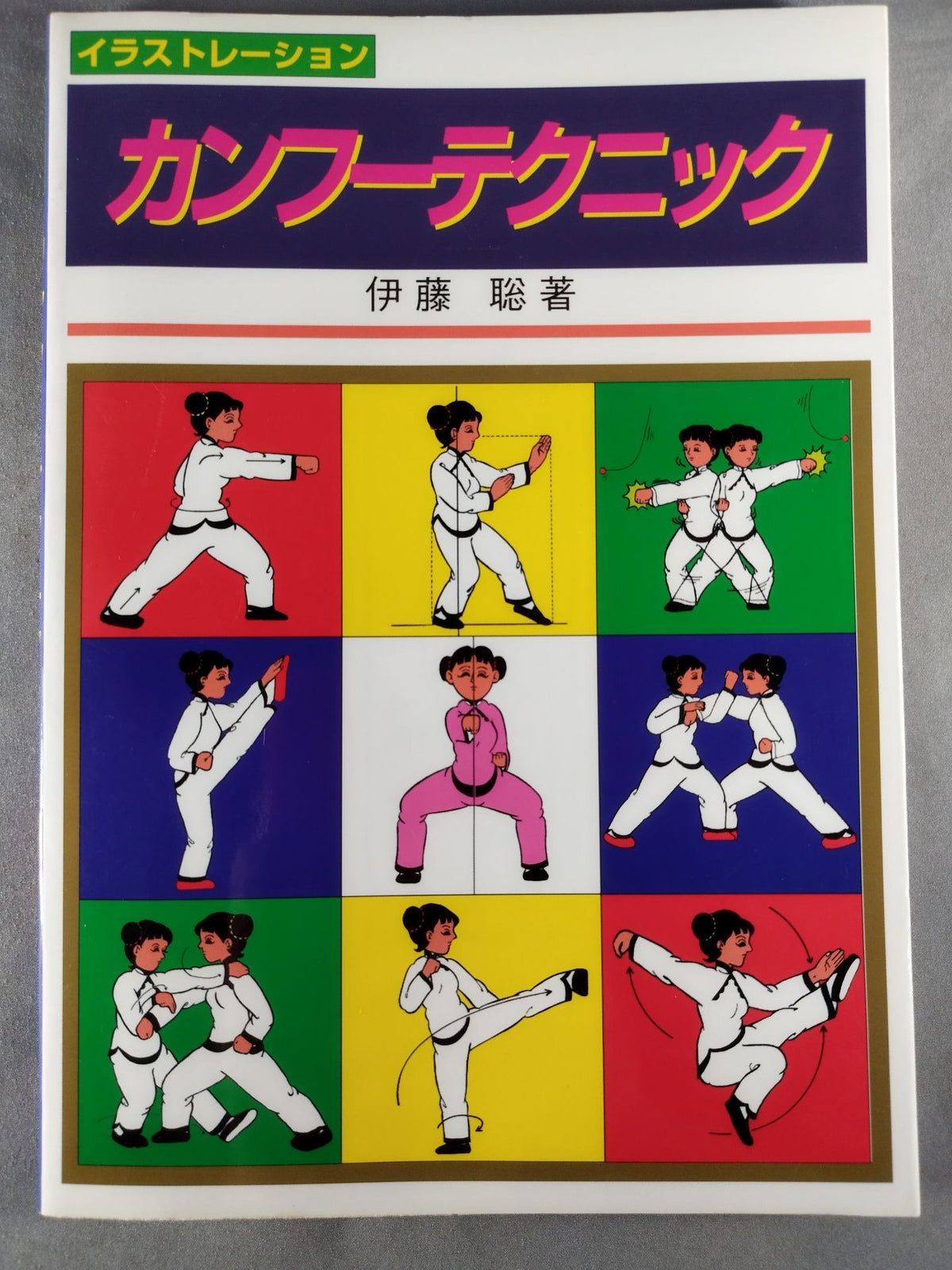 Illustration Kung Fu Techniques