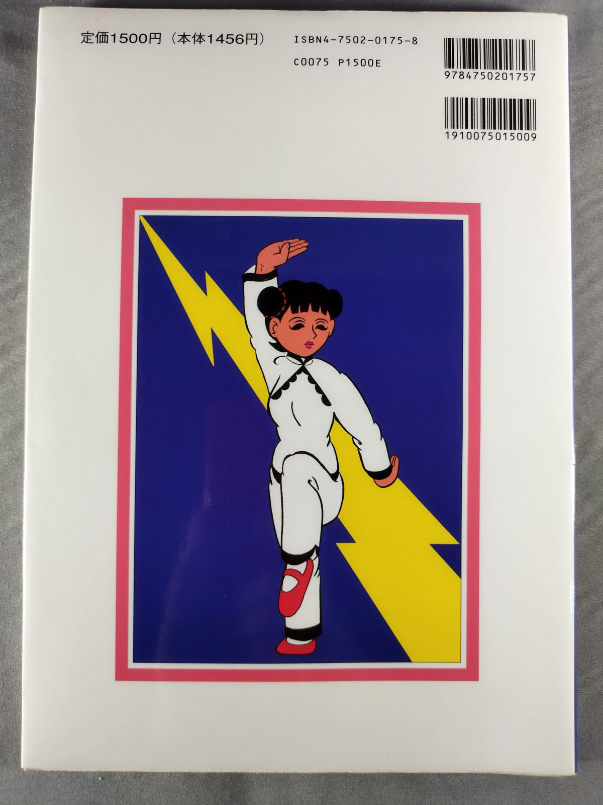 Illustration Kung Fu Techniques