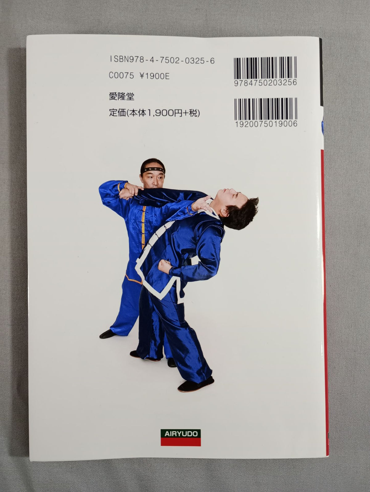 【DVD付】太極拳のチカラ 楊式 陳式 武式