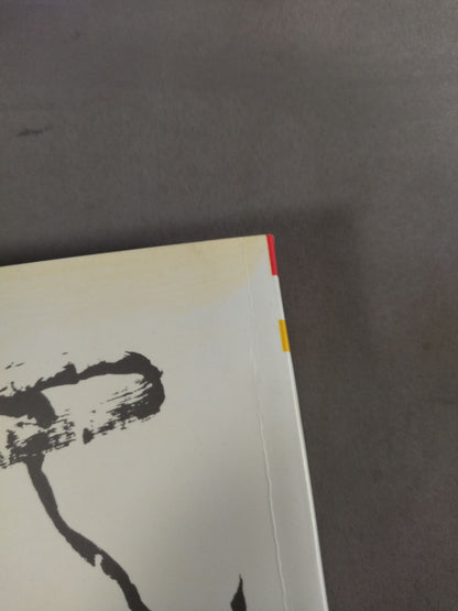 永恆巨星的一生 Bruce Lee