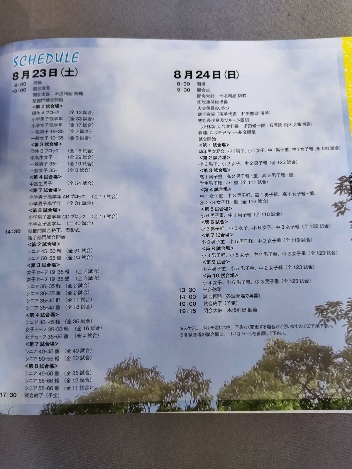 新極真会 カラテドリームカップ2014 国際大会