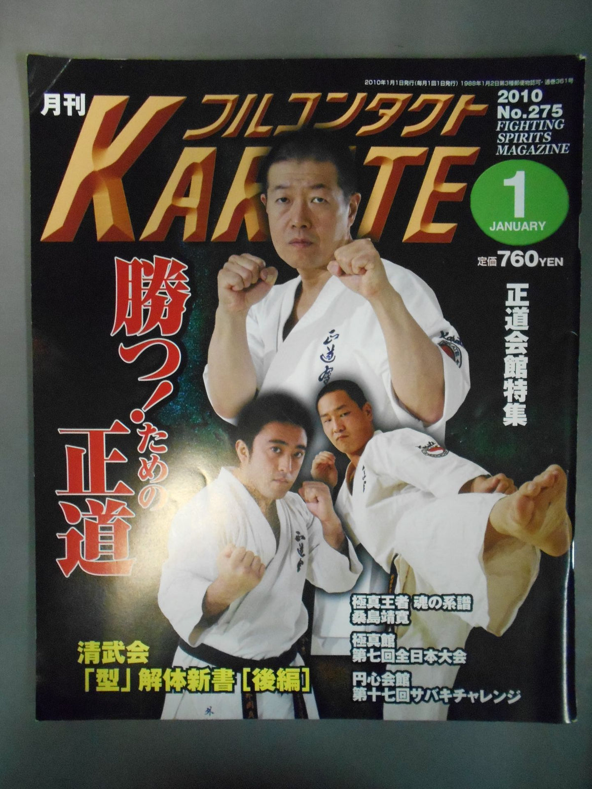 フルコンタクトKARATE275