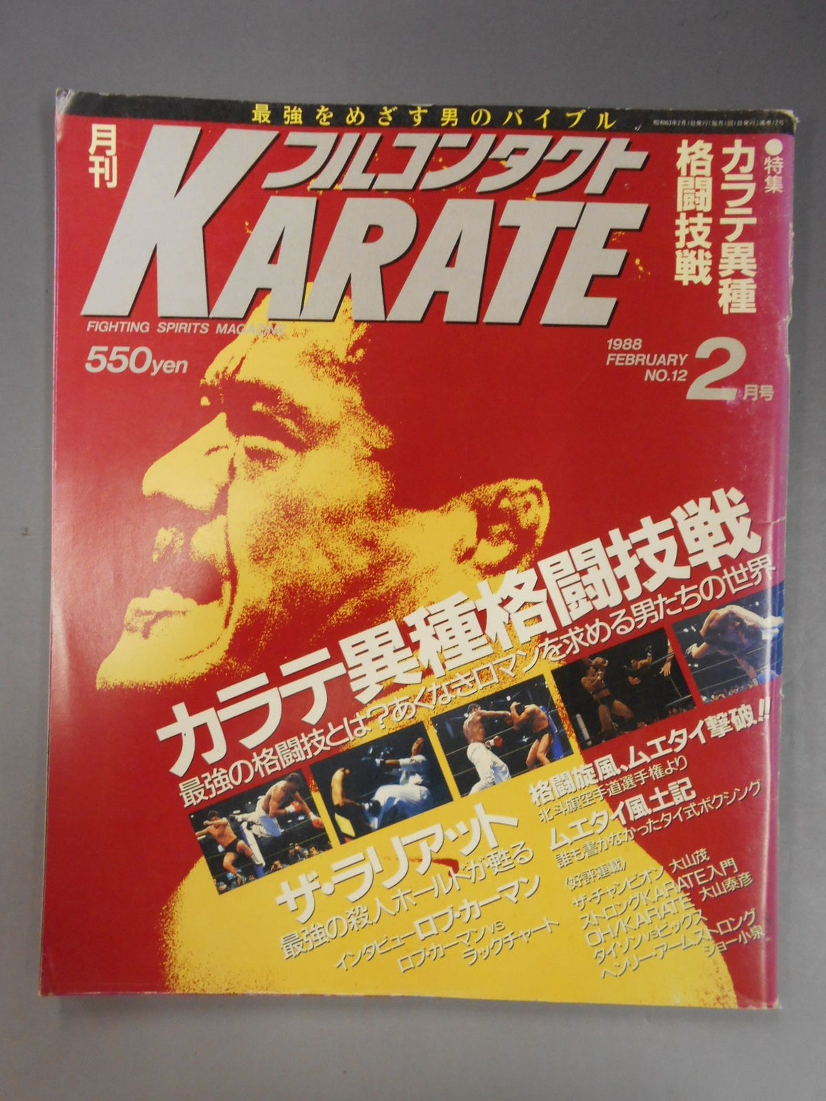 フルコンタクトKARATE12