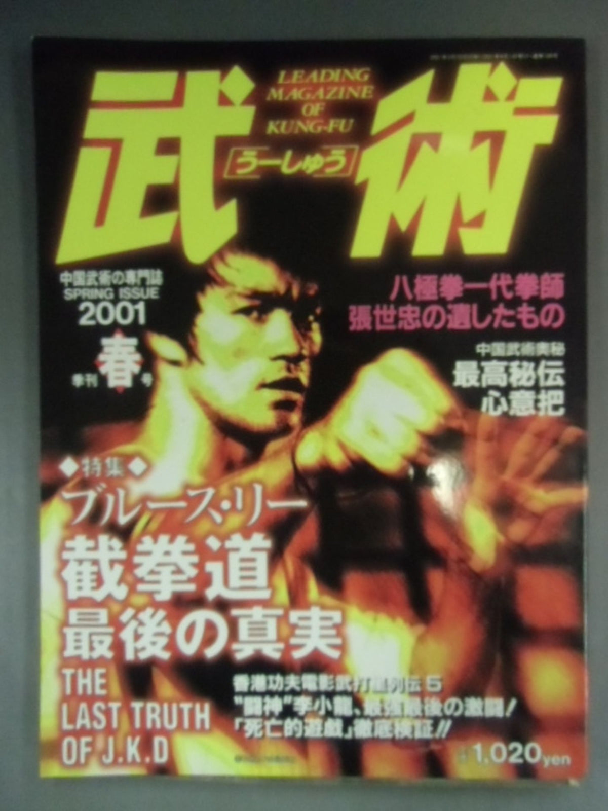 Martial Arts 109